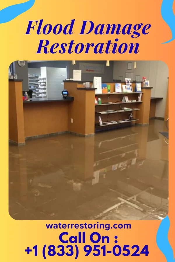 Flood Damage Restoration in Lake Santee, IN
