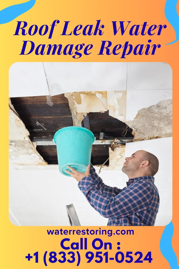 Roof Leak Water Damage Repair in Lake Santee, IN